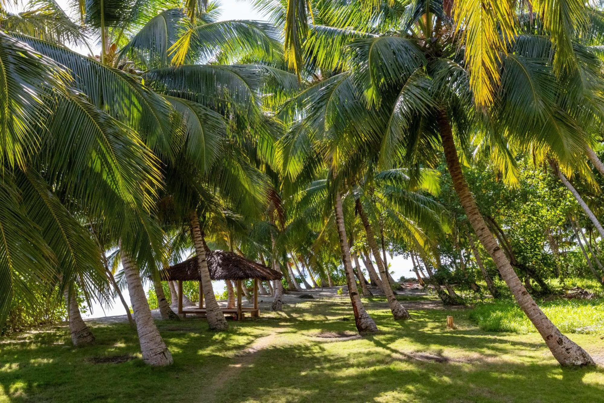 Aloita Resort Mentawai Tua Pejat Екстер'єр фото